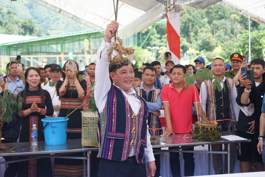 Hình nhỏ