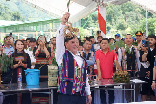 Hình nhỏ