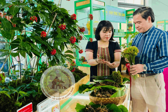 Hình nhỏ
