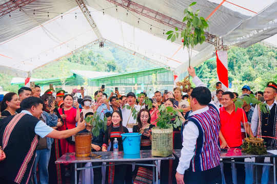 Hình nhỏ