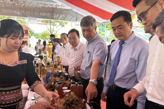 Hình nhỏ