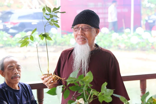 Hình nhỏ