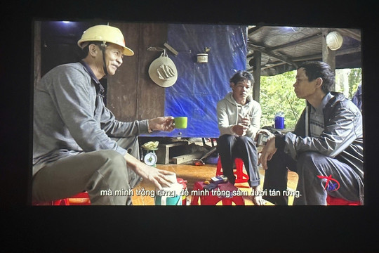 Hình nhỏ