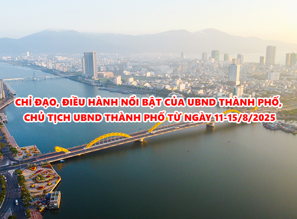 Video: Chỉ đạo, điều hành nổi bật của UBND thành phố, Chủ tịch UBND thành phố từ ngày 11-15/8/2025