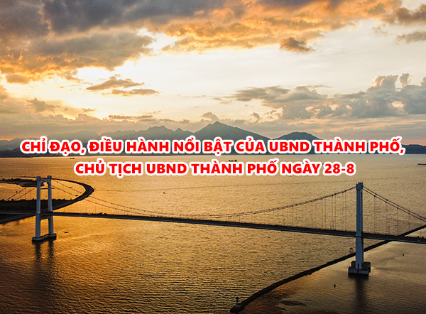 Video: Chỉ đạo, điều hành nổi bật của UBND thành phố, Chủ tịch UBND thành phố ngày 28-8