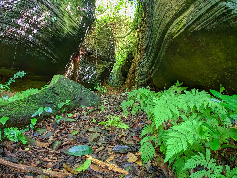 Chiêm ngưỡng vẻ đẹp hoang sơ của Hang Dơi Tiên An