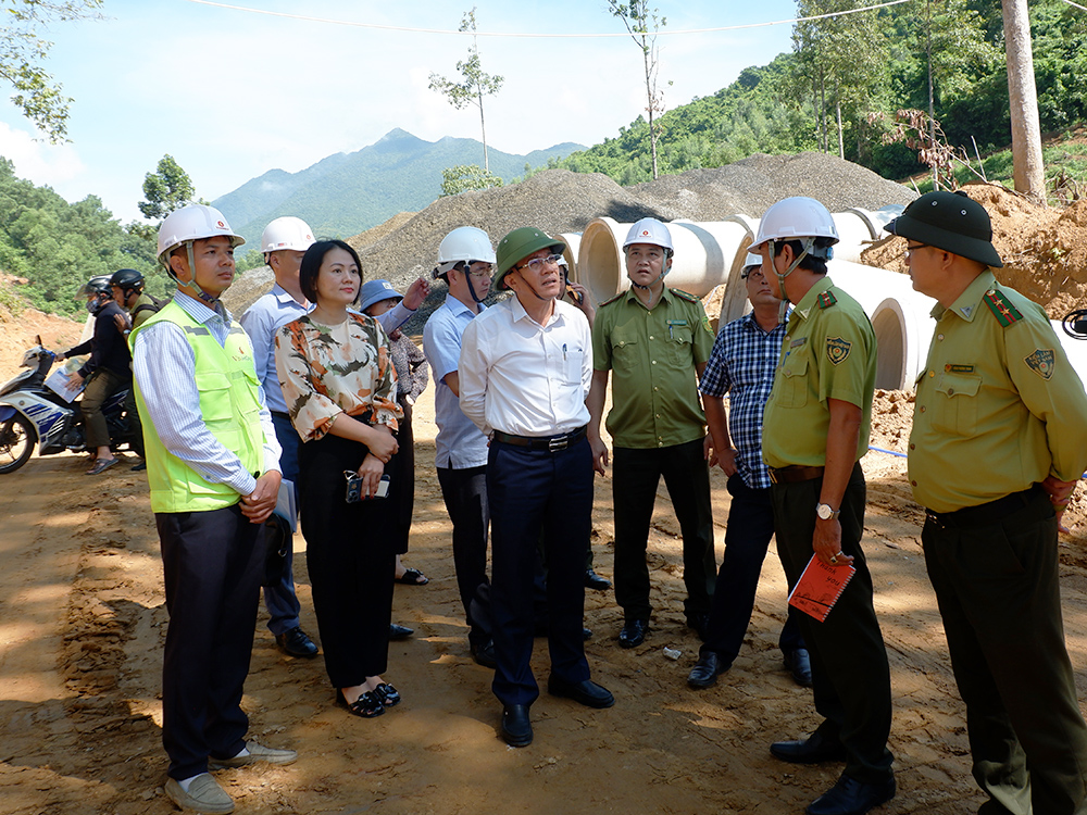 Đảm bảo tuân thủ chặt chẽ quy định pháp luật trong khai thác rừng
