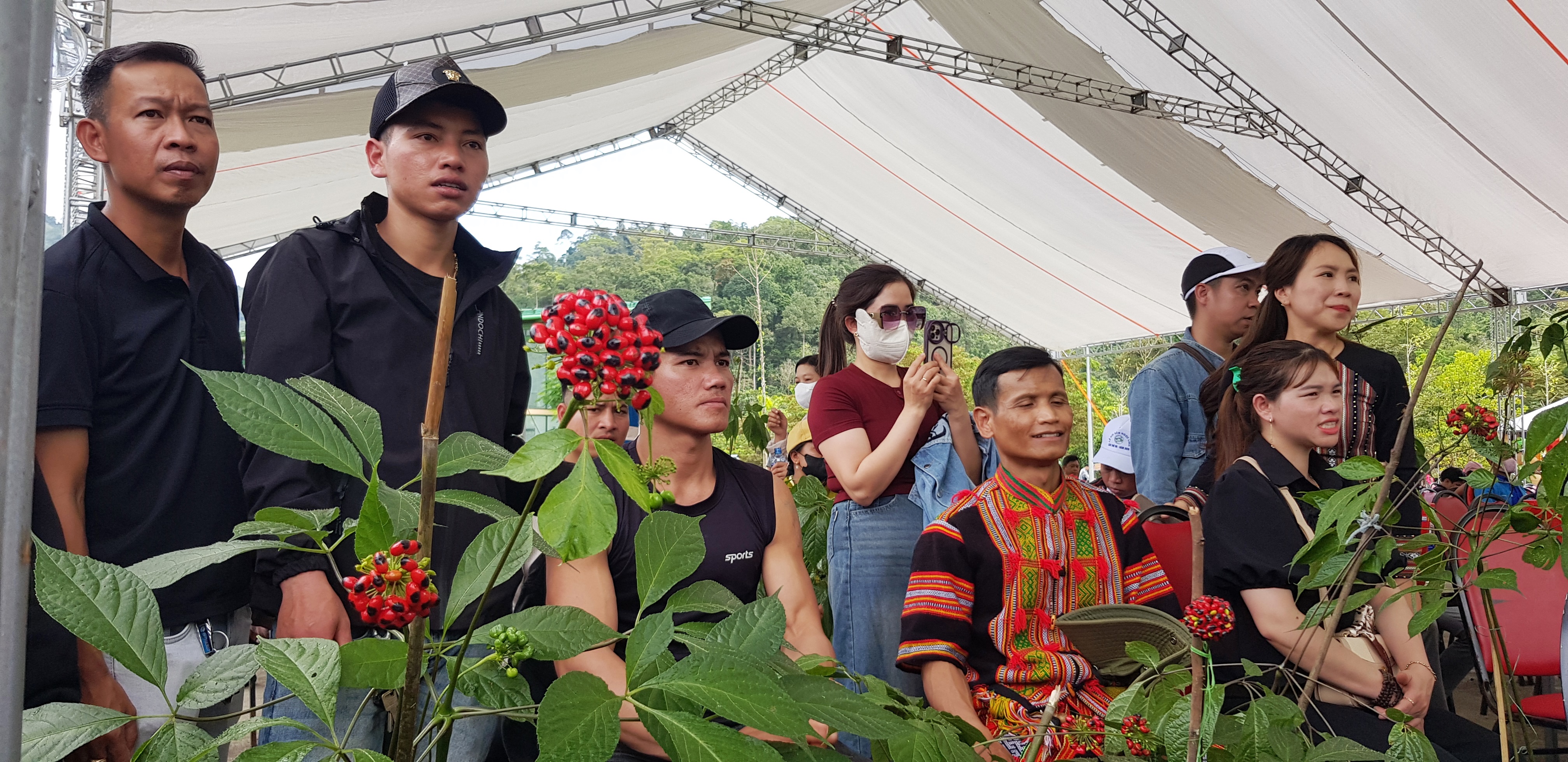 Phát triển Trà Linh thành vùng dược liệu trọng điểm của miền Trung