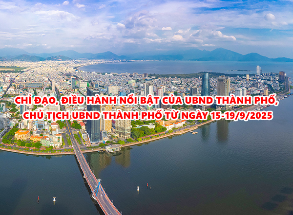 Video: Chỉ đạo, điều hành nổi bật của UBND thành phố, Chủ tịch UBND thành phố từ ngày 15-19/9/2025