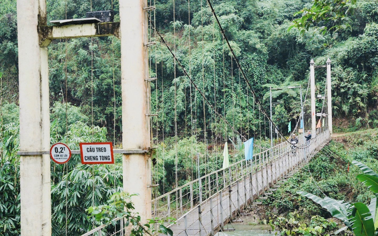Hình nhỏ