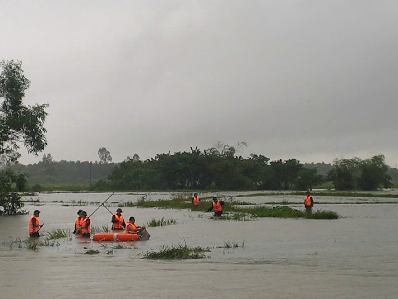 Hình nhỏ