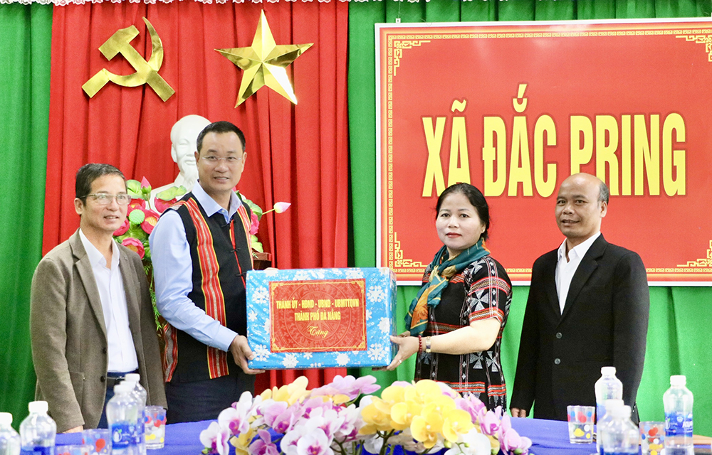 Hình nhỏ