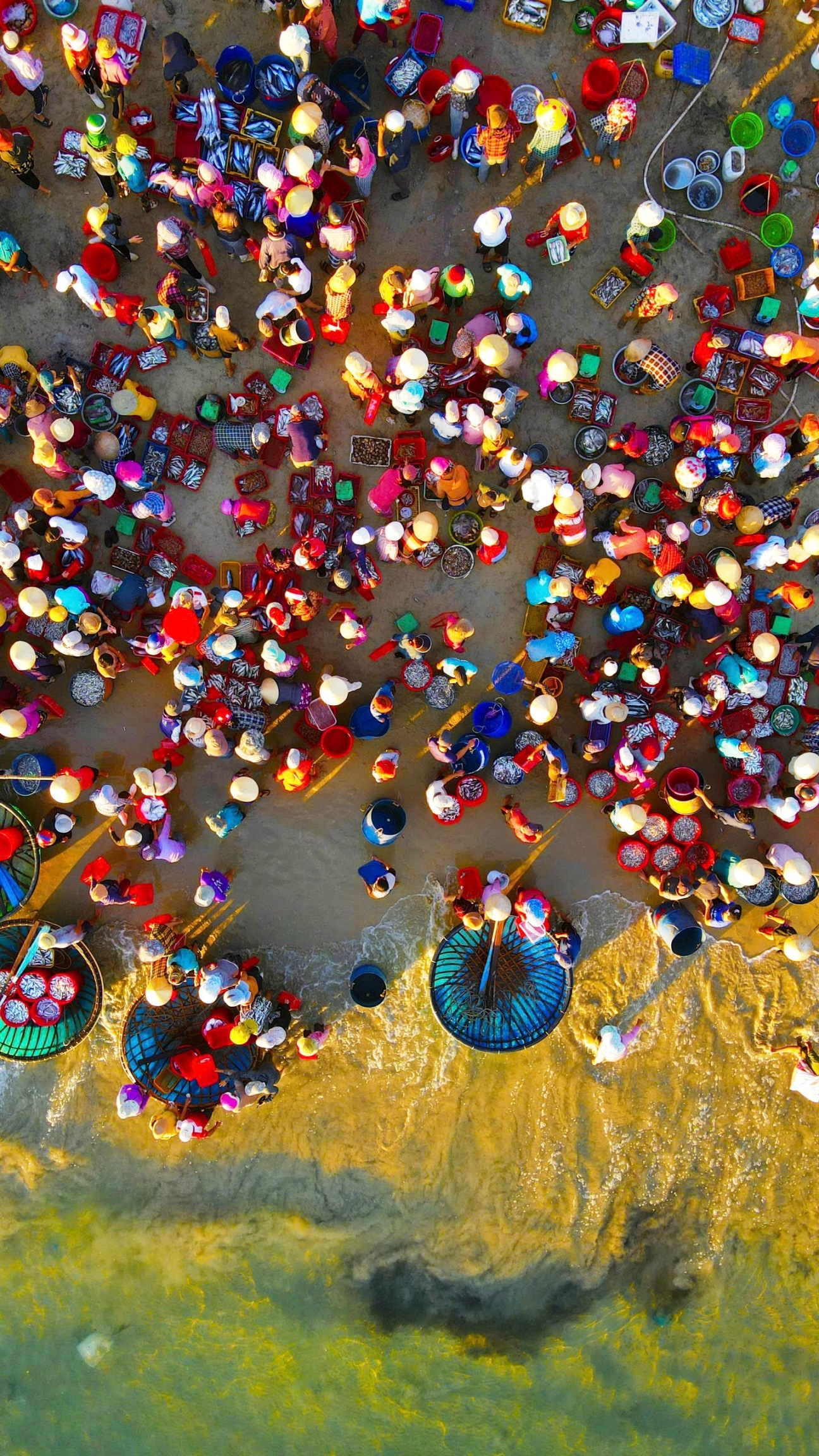 Đi chợ cá Tam Tiến