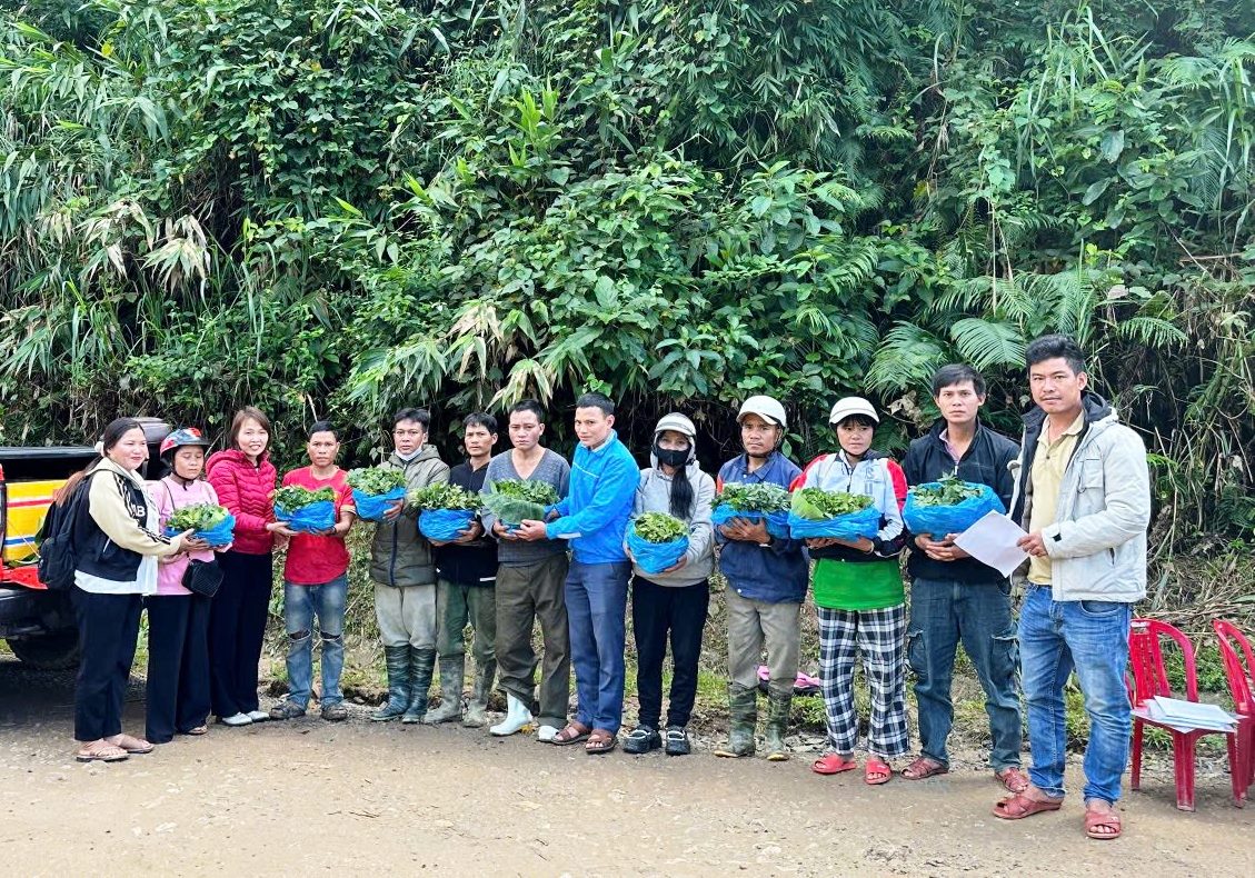 Hình nhỏ