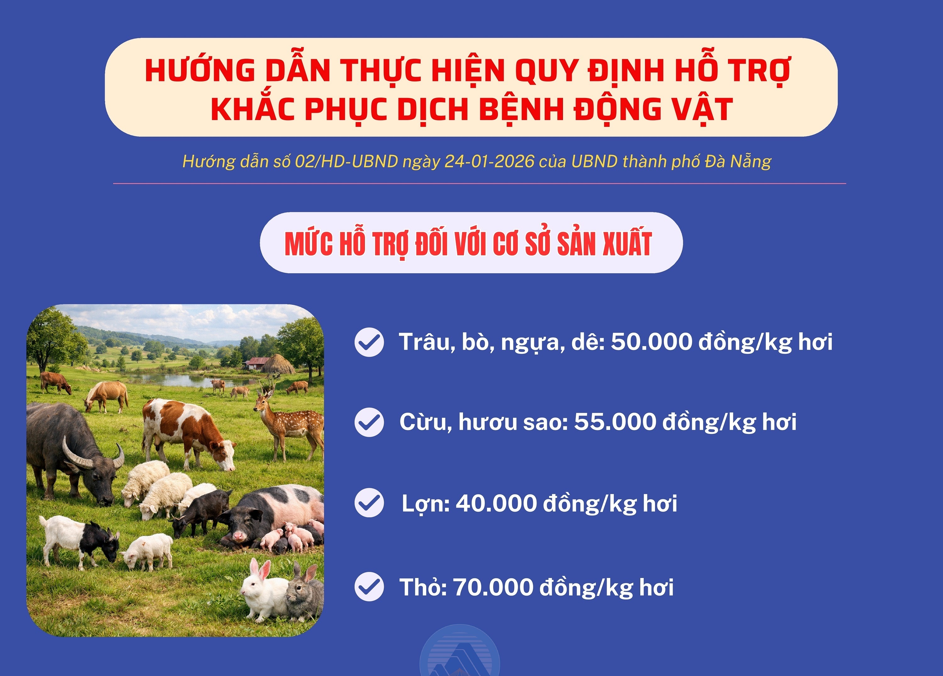 [Infographic] - Mức chi hỗ trợ khắc phục dịch bệnh động vật trên địa bàn thành phố