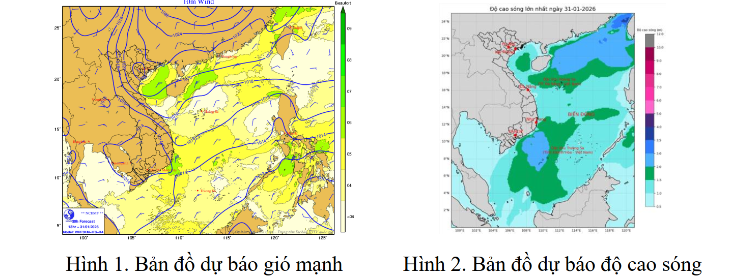 Chủ động ứng phó với gió mùa Đông Bắc và gió mạnh trên biển