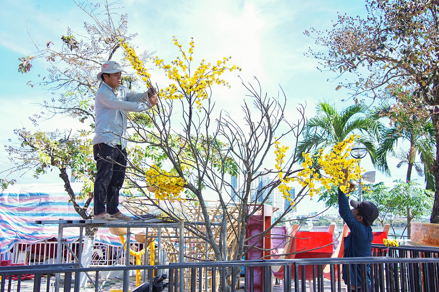 Tất bật công trường trang trí hoa Tết trước thềm xuân Bính Ngọ