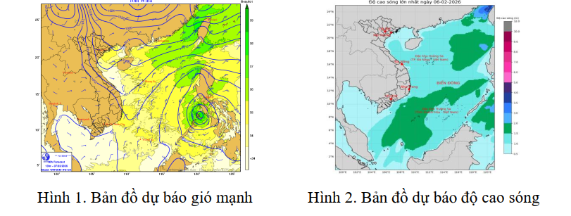 Chủ động ứng phó với gió mùa Đông Bắc và gió mạnh trên biển