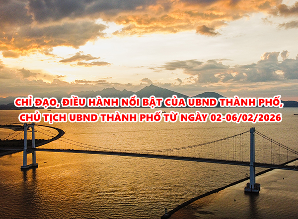 Video: Chỉ đạo, điều hành nổi bật của UBND thành phố, Chủ tịch UBND thành phố từ ngày 02-06/02/2026