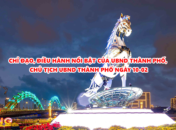 Video: Chỉ đạo, điều hành nổi bật của UBND thành phố, Chủ tịch UBND thành phố ngày 10-02