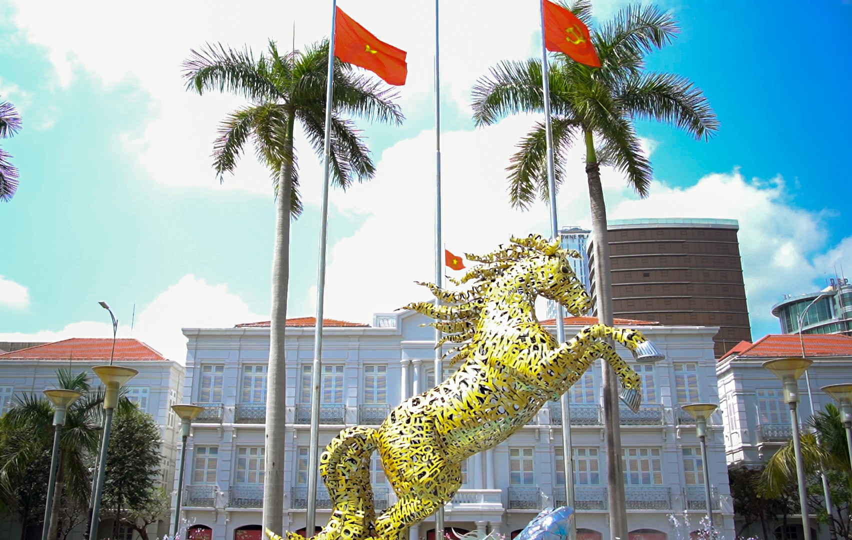 Video: Đường hoa xuân rực rỡ dưới nắng, điểm hẹn du xuân không thể bỏ lỡ