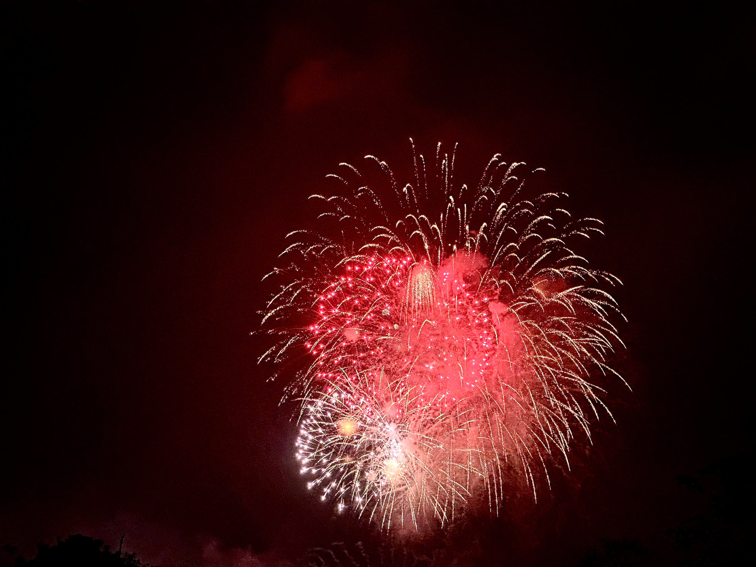 Rực sắc pháo hoa đón chào năm mới Bính Ngọ