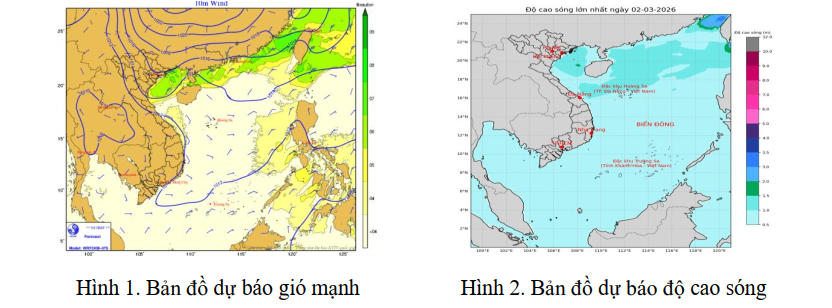 Chủ động ứng phó với gió mùa Đông Bắc và gió mạnh trên biển
