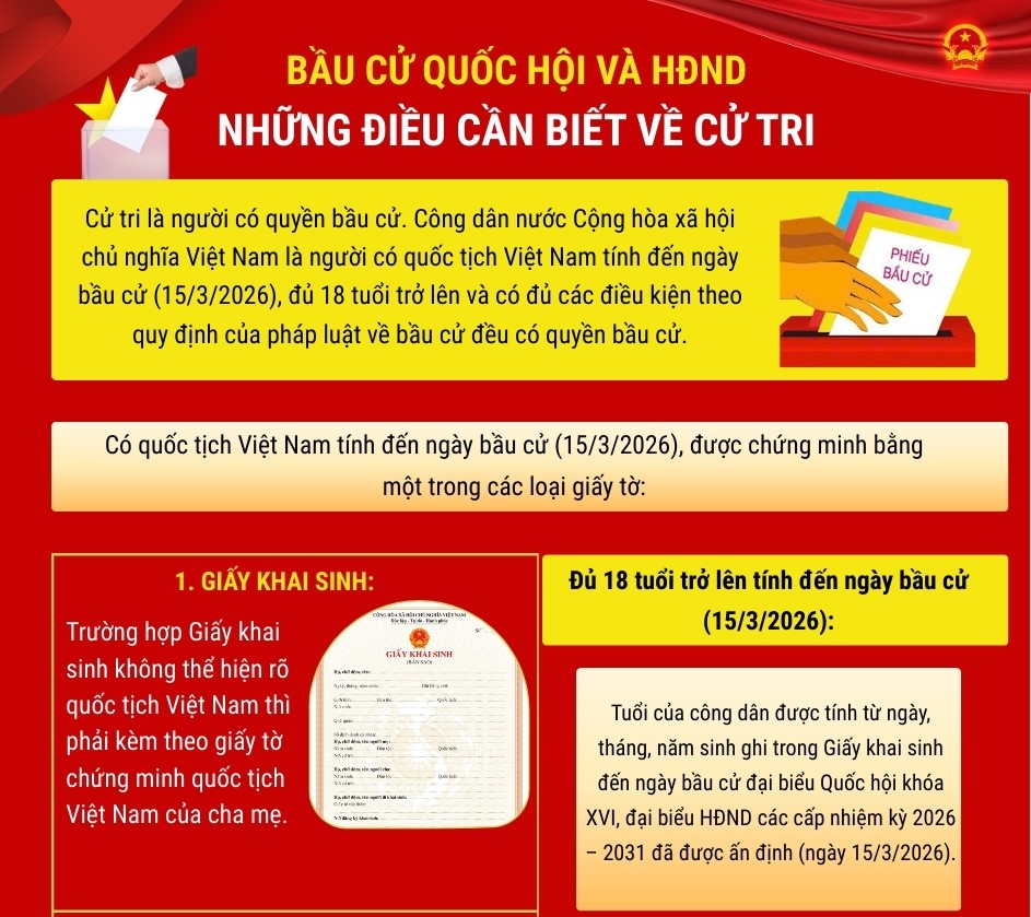 Infographic: Những điều cần biết về cử tri