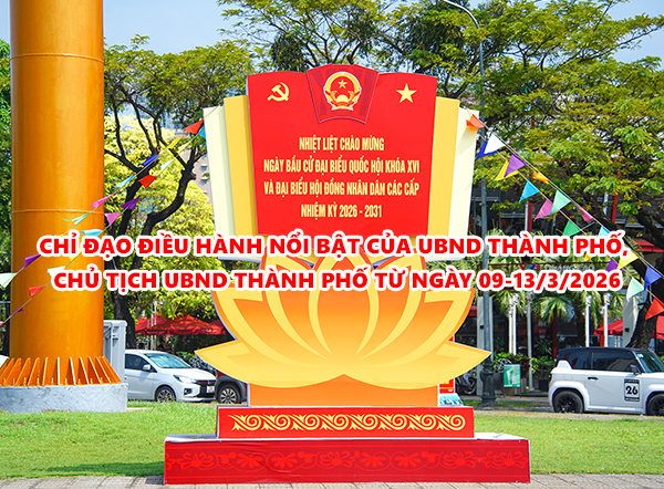 Video: Chỉ đạo, điều hành nổi bật của UBND thành phố, Chủ tịch UBND thành phố từ ngày 9-13/3/2026