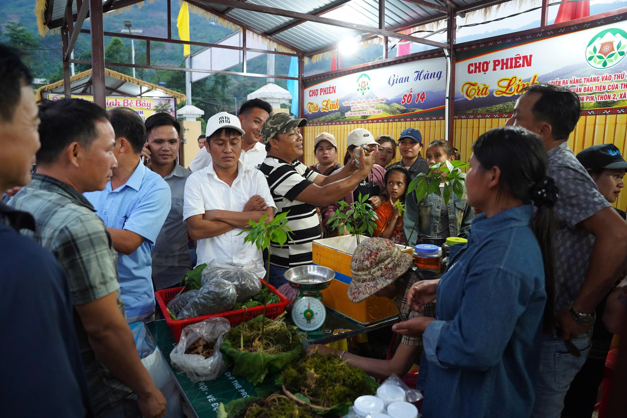 Hình nhỏ