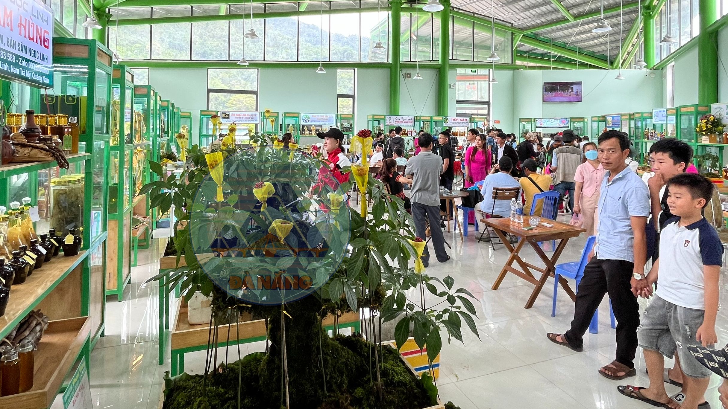 Hình nhỏ