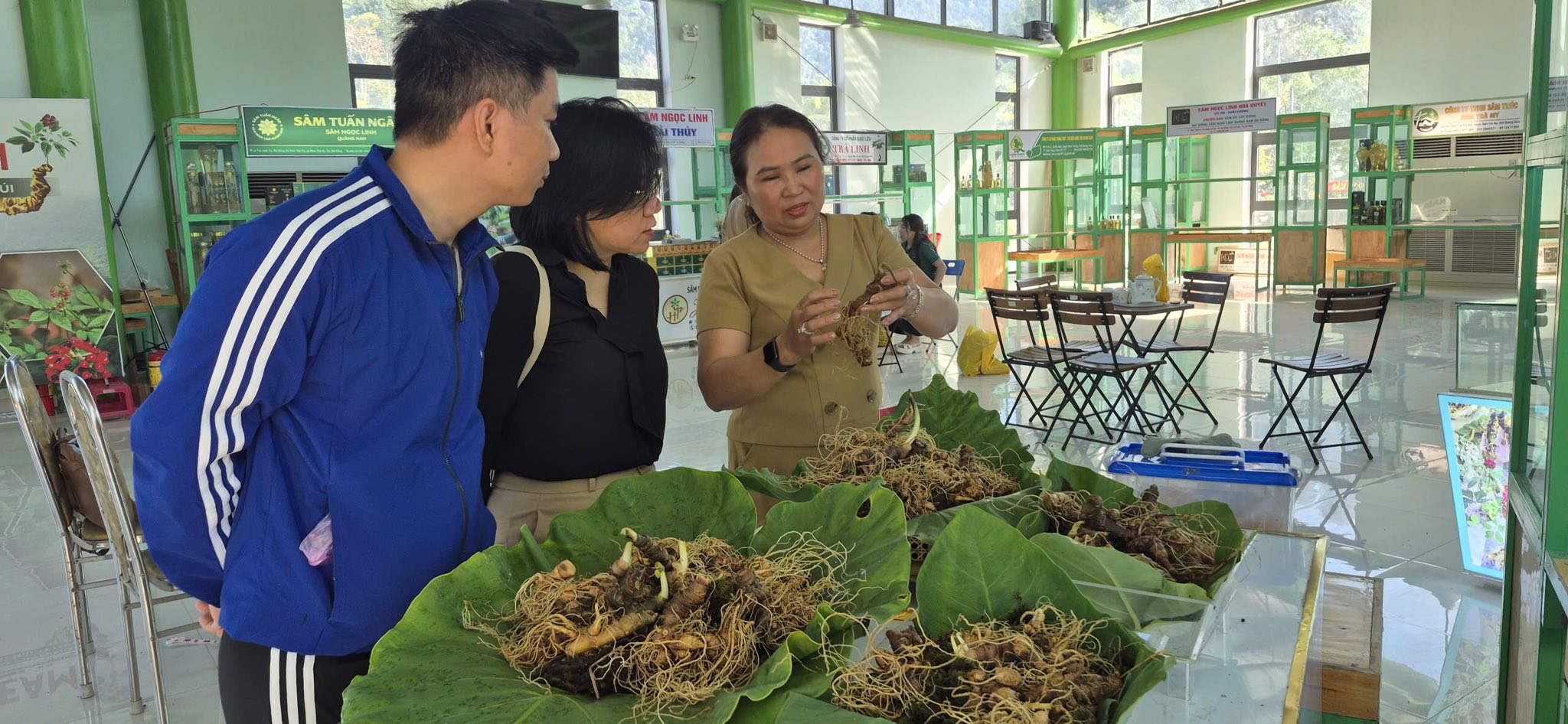Hình nhỏ