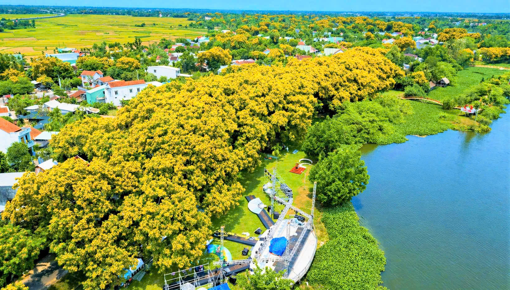 Hình nhỏ