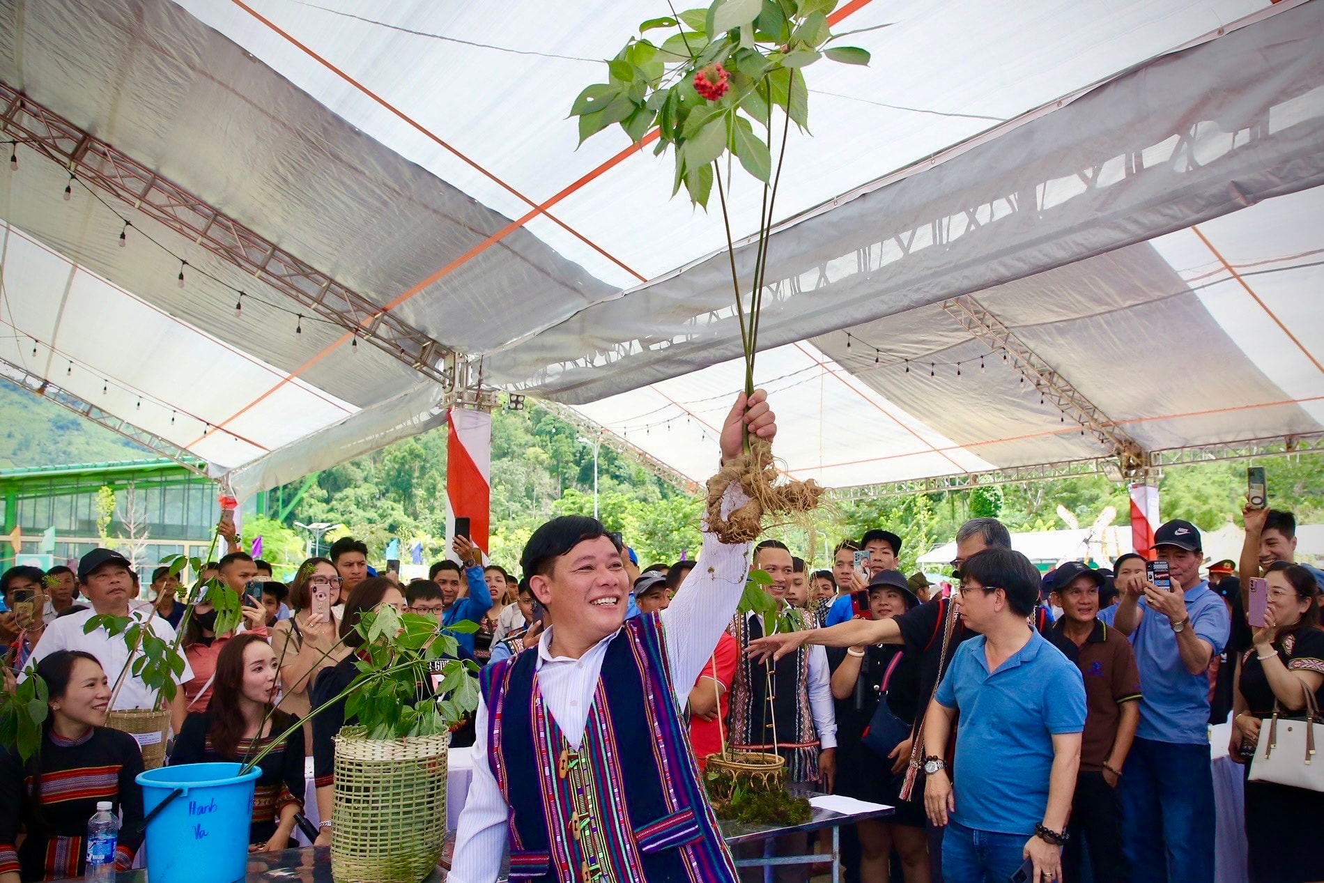 Hình nhỏ