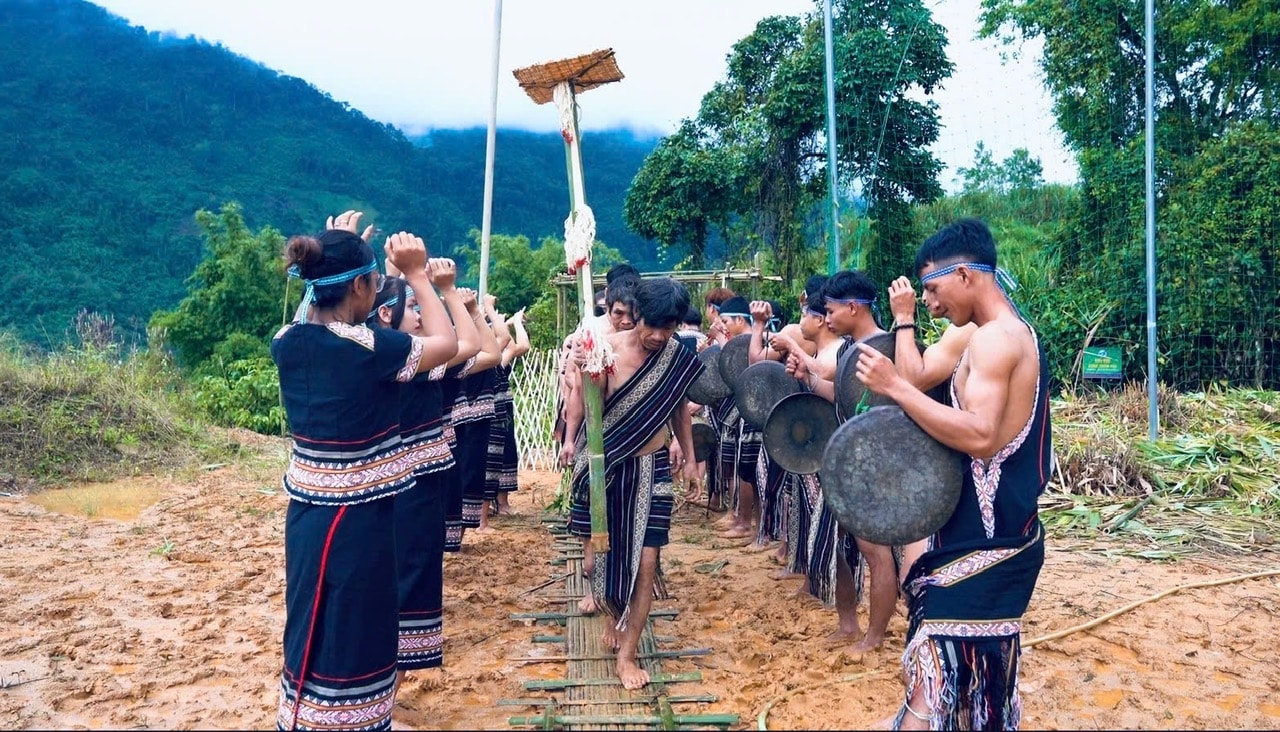 Hình nhỏ