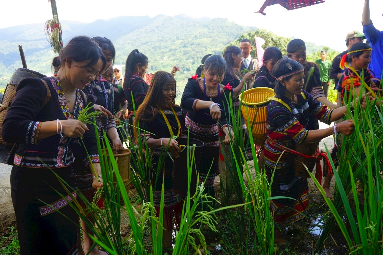 Hình nhỏ