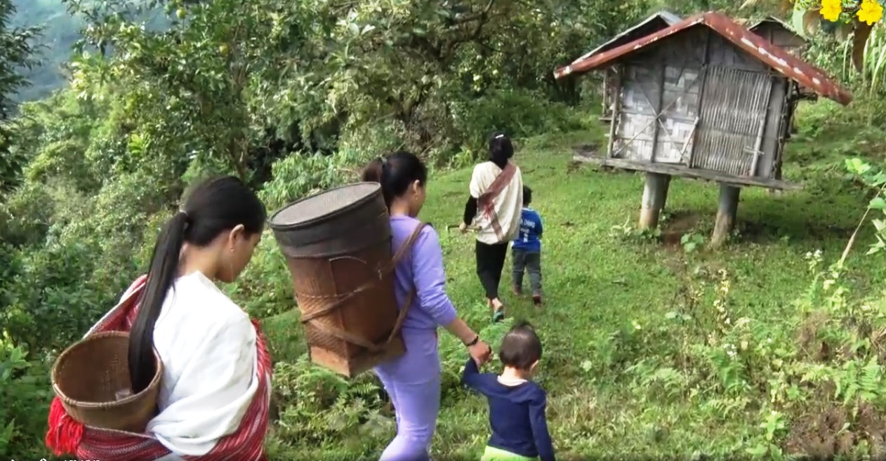 Tết lúa kho của người Xơ Đăng