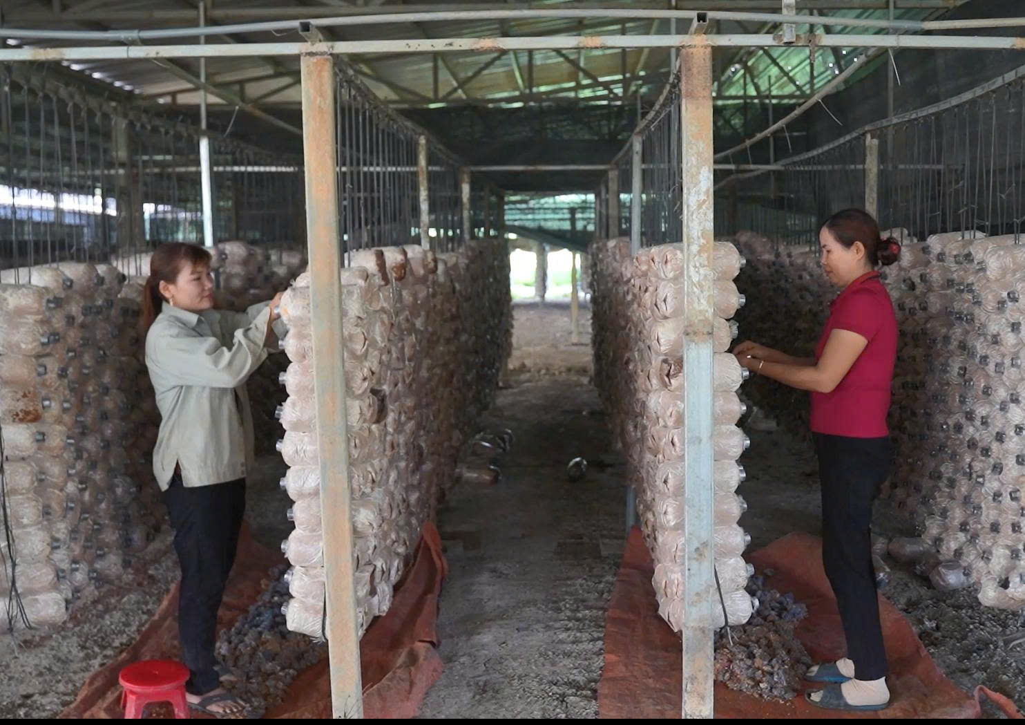 Hình nhỏ