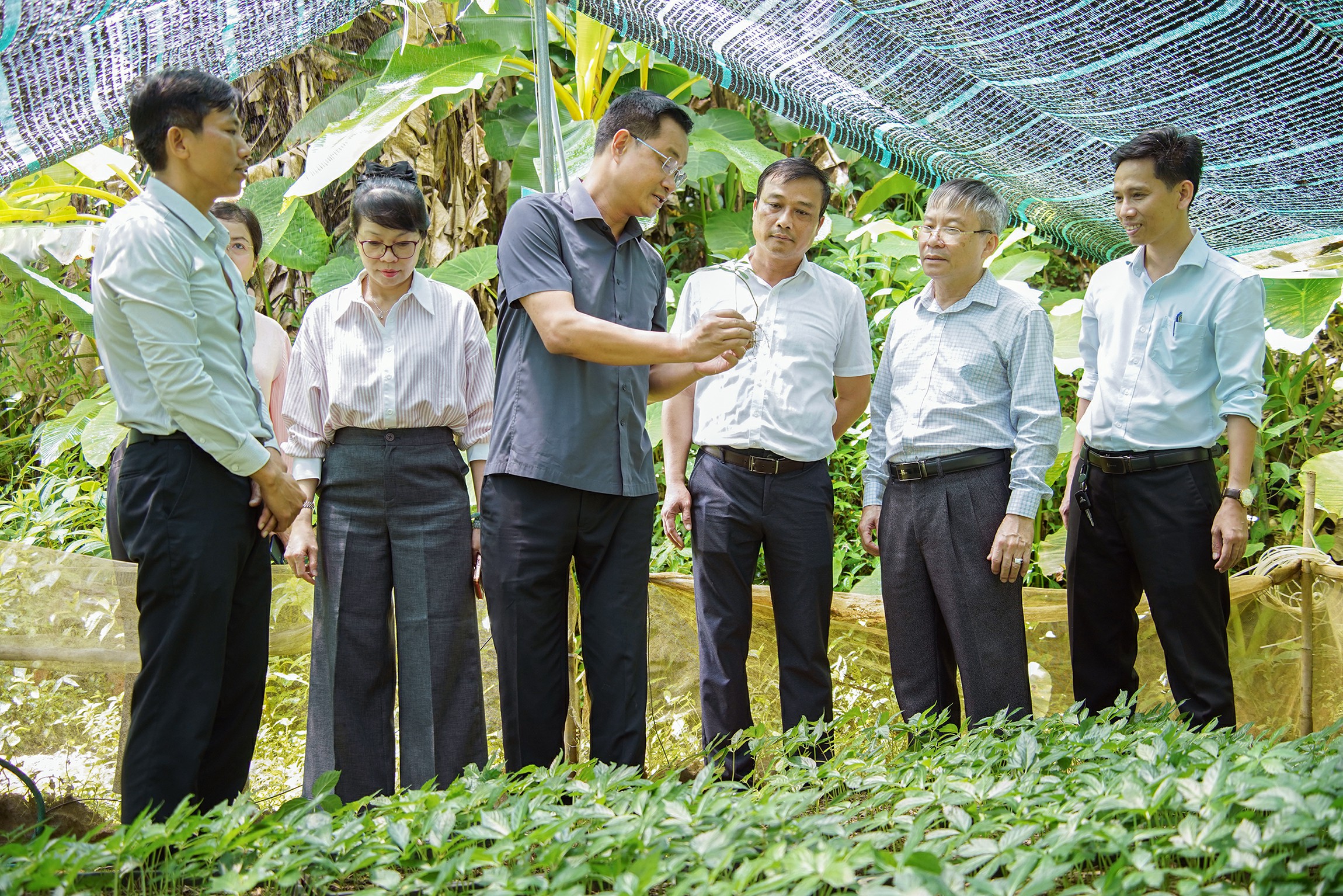 Hình nhỏ