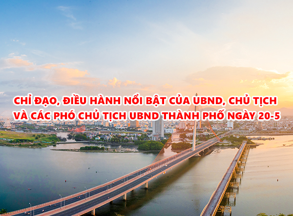 Hình nhỏ