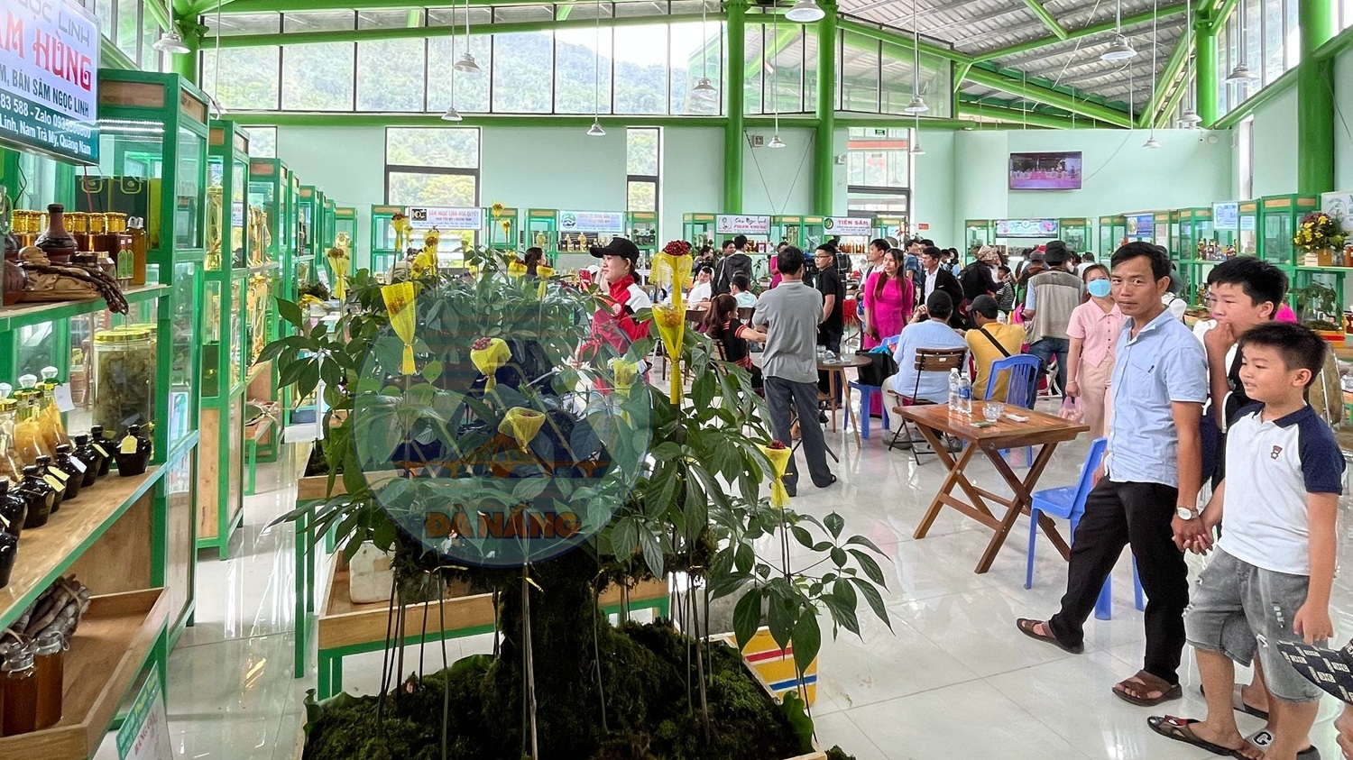 Hình nhỏ