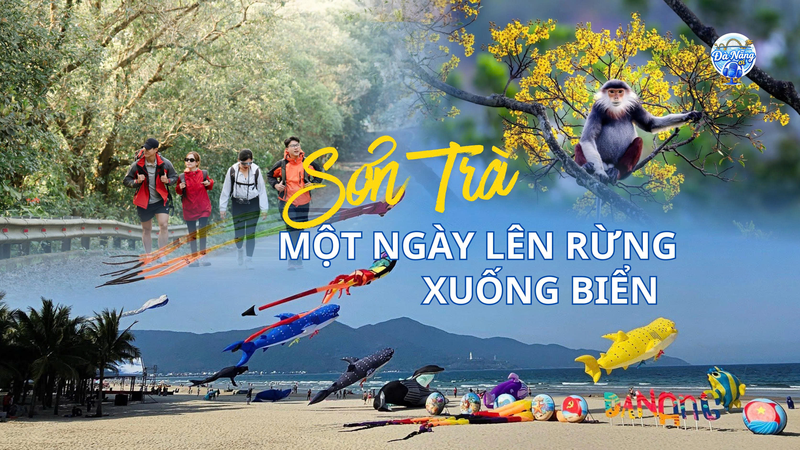 Podcast: Sơn Trà - Một ngày lên rừng, xuống biển
