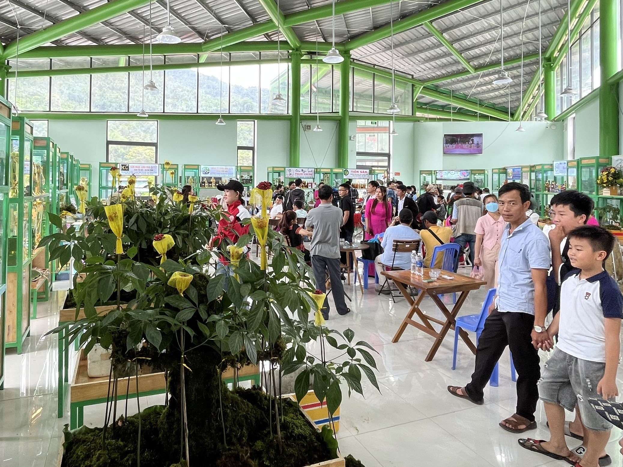 Hình nhỏ