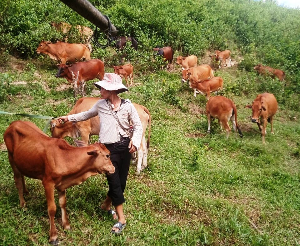 Thống nhất nhận thức, hành động trong thực hiện các Chương trình mục tiêu quốc gia