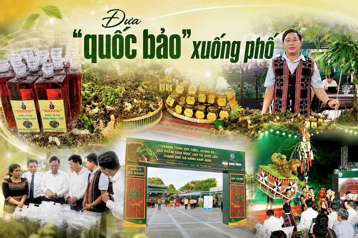 Hình nhỏ