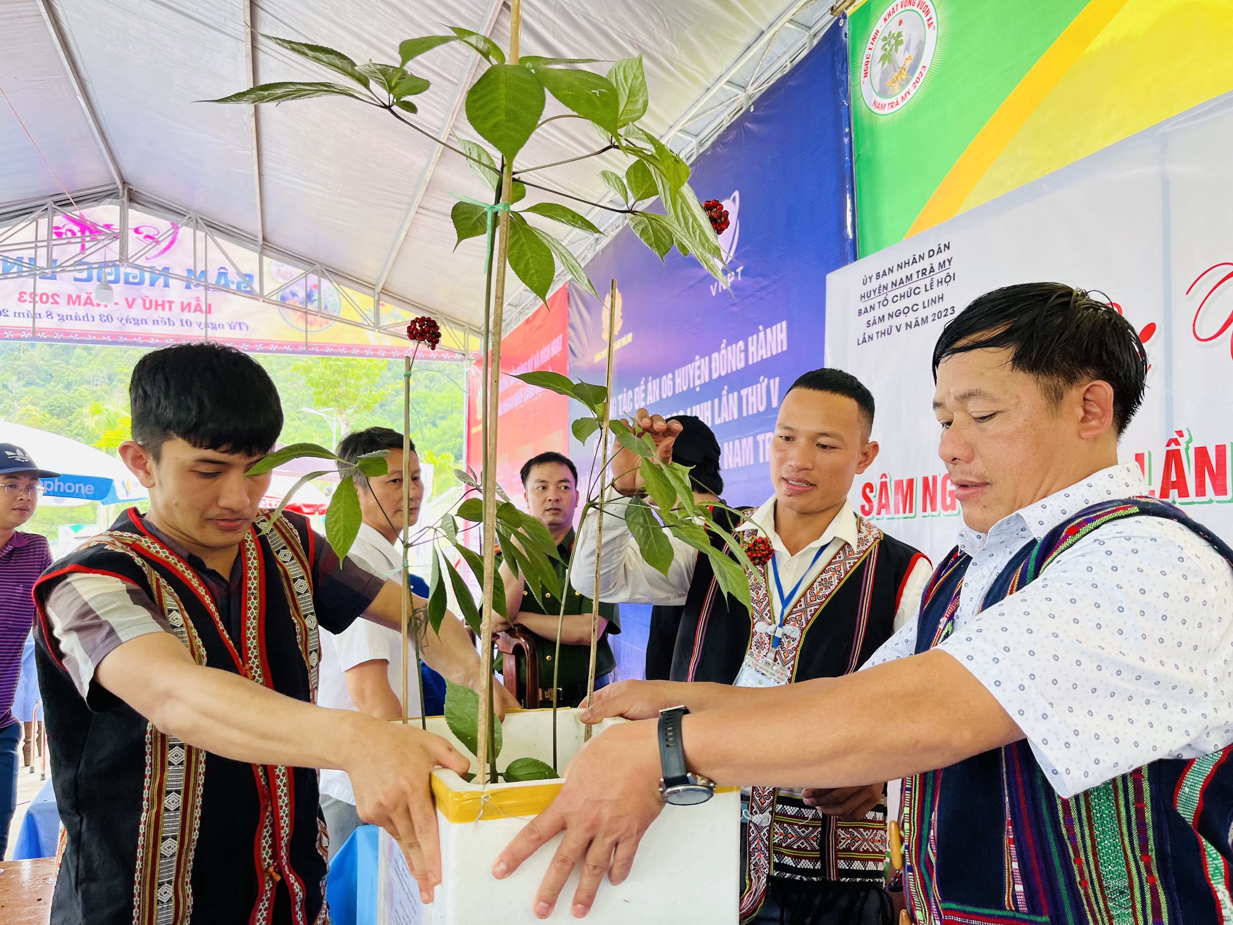 Hình nhỏ