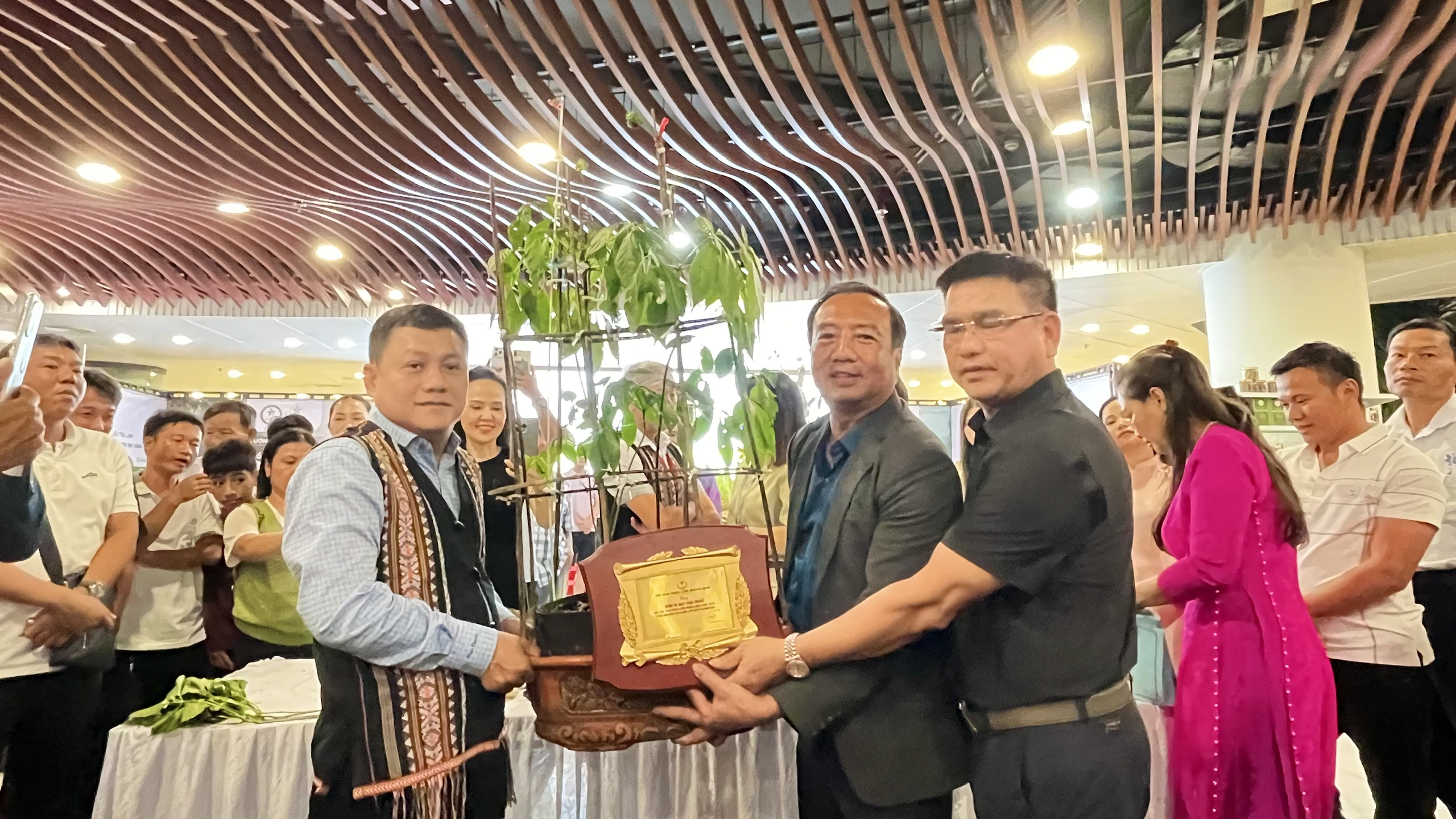 Hình nhỏ