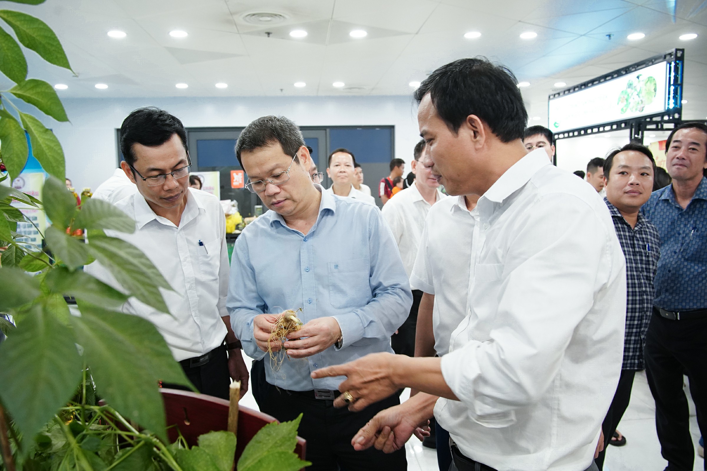 Hình nhỏ