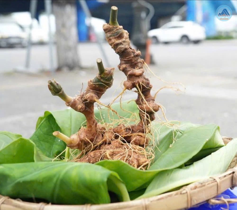 Hình nhỏ