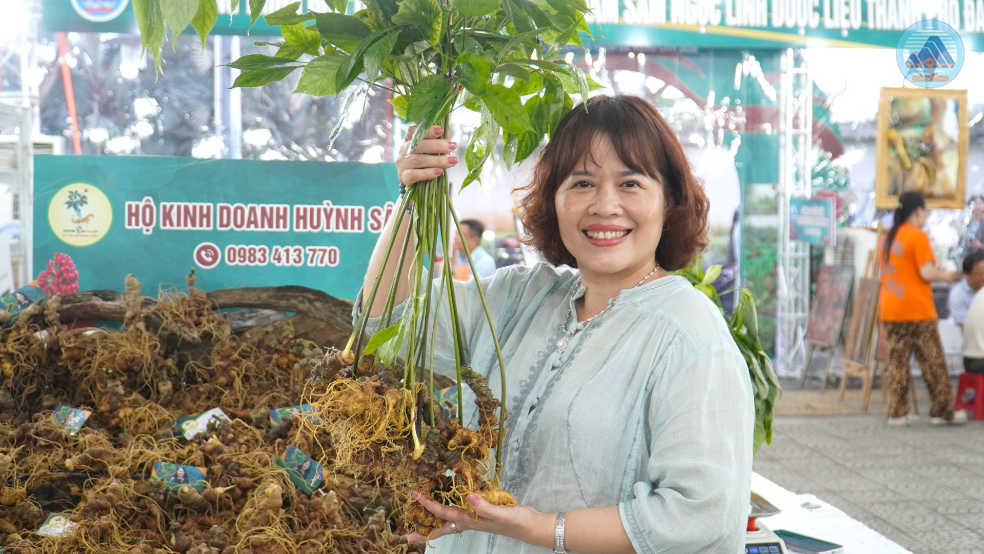 Sâm Ngọc Linh xuống phố